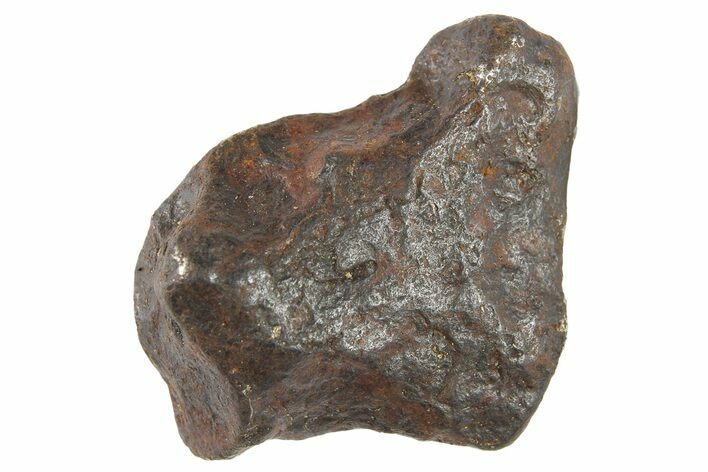 Canyon Diablo Iron Meteorite ( g) - Arizona #262884